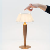 <p>Flaminia Pro</p> |