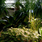 Sister Light Wi-Fi Garden Lamp - Sister Light Wi-Fi Collection |