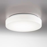 Drum Bayonet Wall / Ceiling Light - Small / 11.8 Inches / Medium based |
