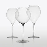 Ultralight Aged Reds & Oaked Whites (Set of 2) - Default Title |