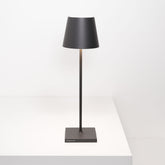 <p>Poldina Pro</p> |