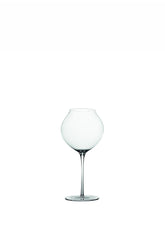 Ultralight White or Young Red Wines (Set of 2) - Default Title |