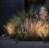 Klewe x Zafferano - Axent + Elektron - Klewe x Zafferano | 