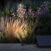 Klewe x Zafferano - Elektron - Klewe x Zafferano | 