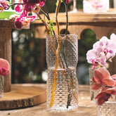 Isolano Carafe - New Tableware | 