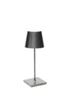 Poldina Pro Mini