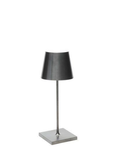 Poldina Pro Mini