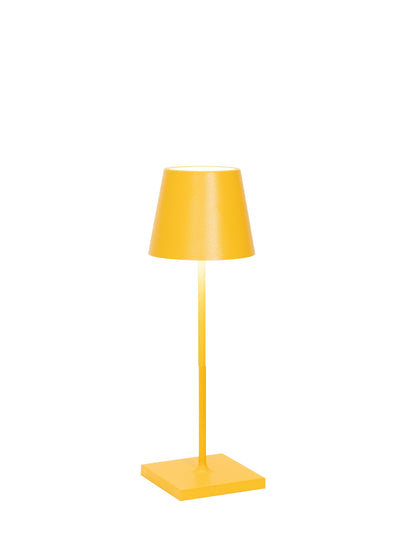Poldina Pro Mini