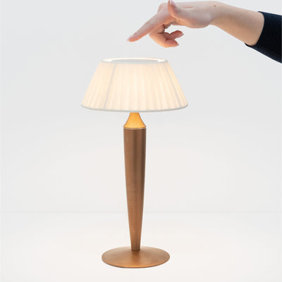 Flaminia Pro
