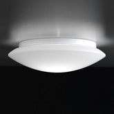 Bis Bayonet Wall / Ceiling Light - Fixture Ceiling | 