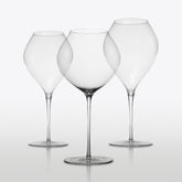Ultralight Aged Reds & Oaked Whites (Set of 2) - Stemware | 