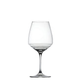 Esperienze Pinot Noir & Amarone (Set of 2) - Stemware | 