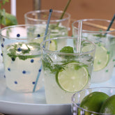 Party Tumbler (Set of 6) - Tableware Collection | 