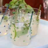 Party Tumbler (Set of 6) - White Dots | 