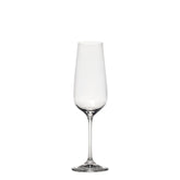 Scaligero Champagne Flute (Set of 6) - Stemware | 