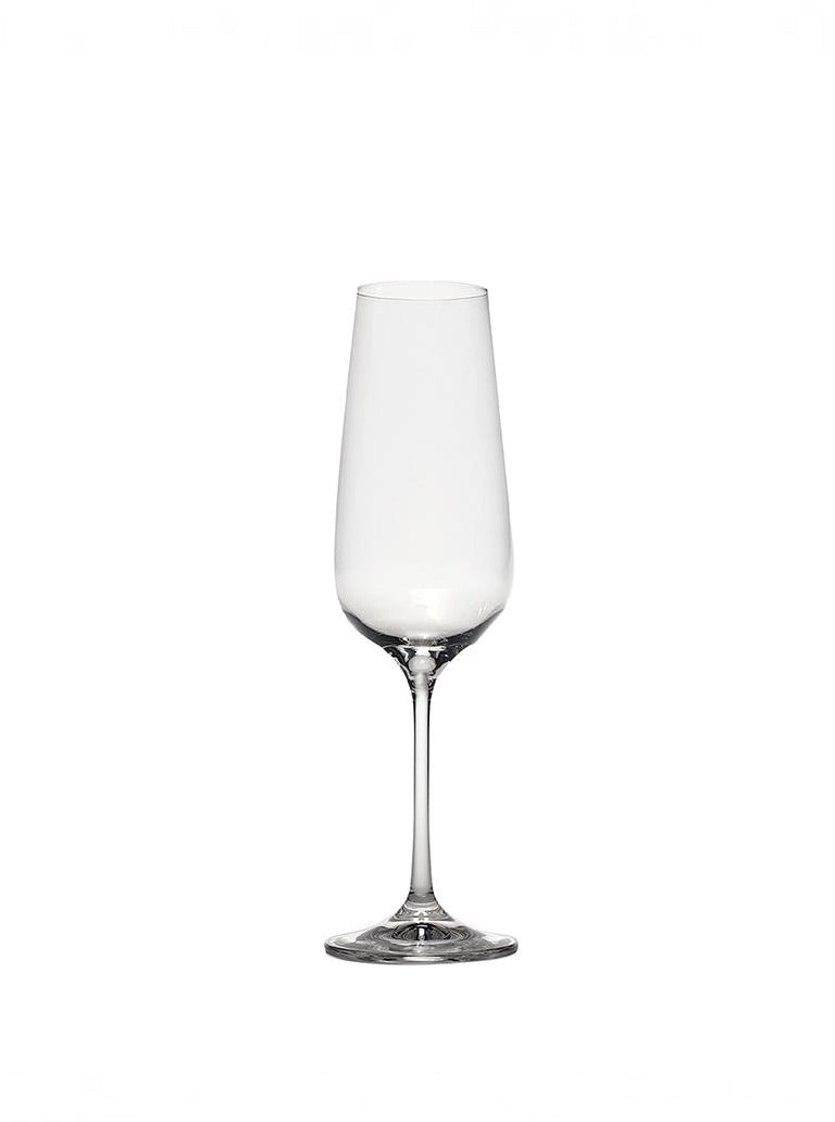 Scaligero Champagne Flute (Set of 6)