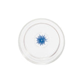 Teca Mare Tumbler (Set of 6) - Tableware Collection | 