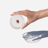 Teca Frutta Tumbler (Set of 6) - Cherries | 