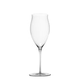 Ultralight Sparkling Wines (Set of 2) - Stemware | 