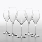 VEM Champagnes (Set of 6) - Default Title | 