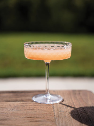 Veneziano Mixology Coupe (Set of 4)